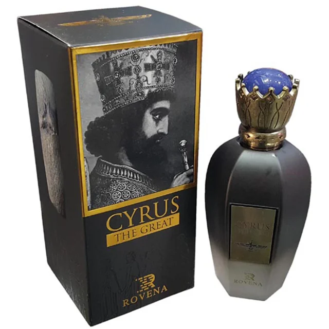 ادوپرفیوم مردانه روونا مدل Cyrus حجم 100 میلی‌لیتر 5779007